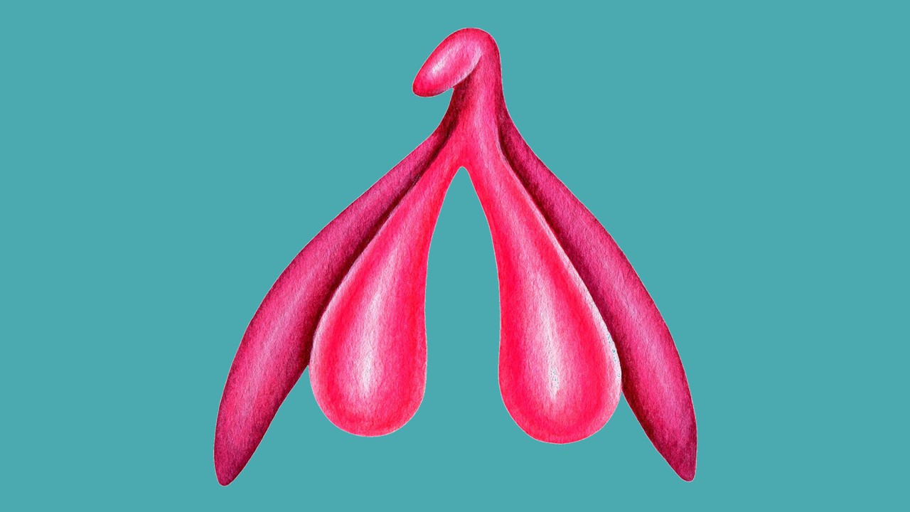 Klitoris Orgasmus