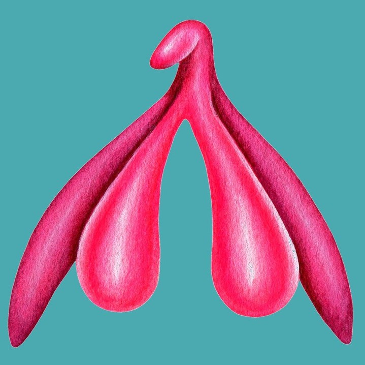 Weibliche Orgasmusarten_Klitoris