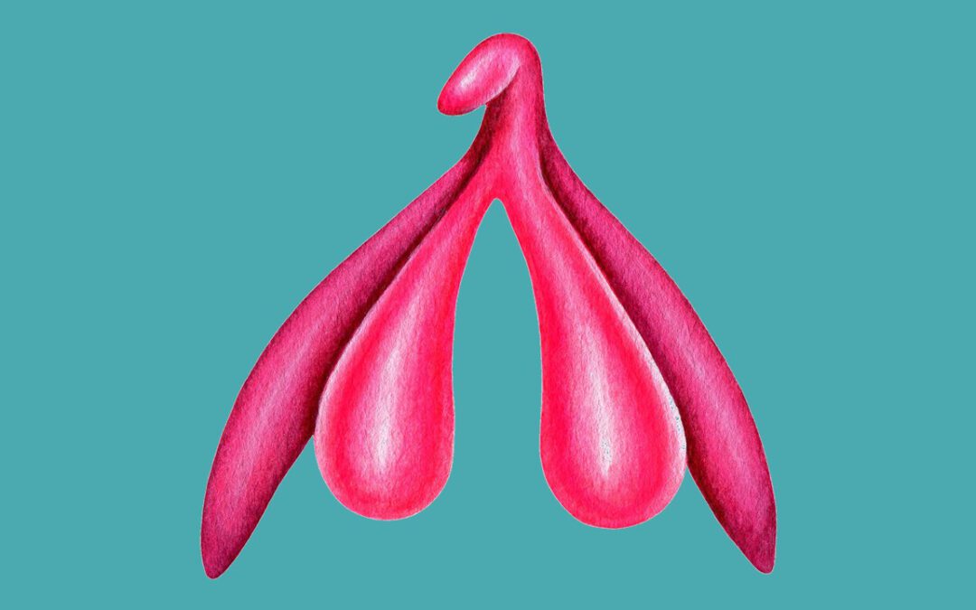 Klitoris Orgasmus