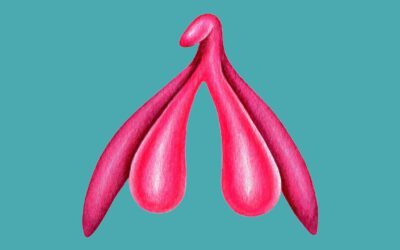 Klitoris Orgasmus ✨ So stimulierst du deine Klitoris